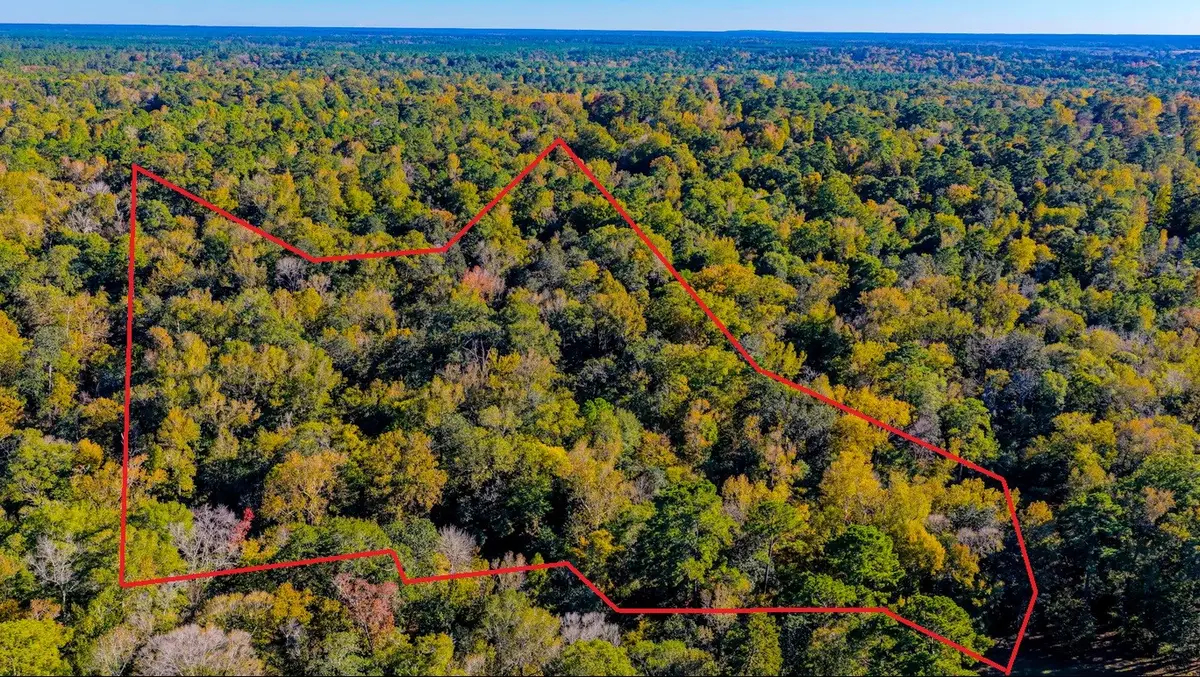 TBD Rolling Ridge Road, Goodrich, TX 77335 - #1