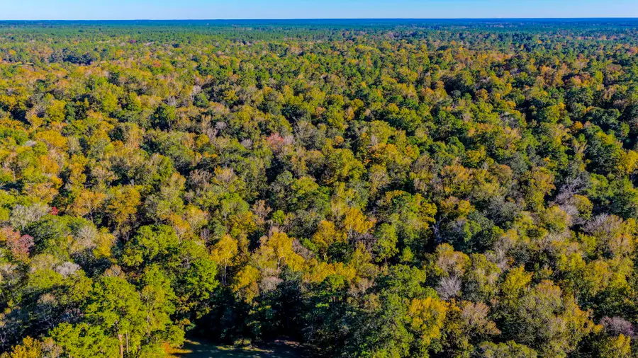 TBD Rolling Ridge Road, Goodrich, TX 77335 - #3