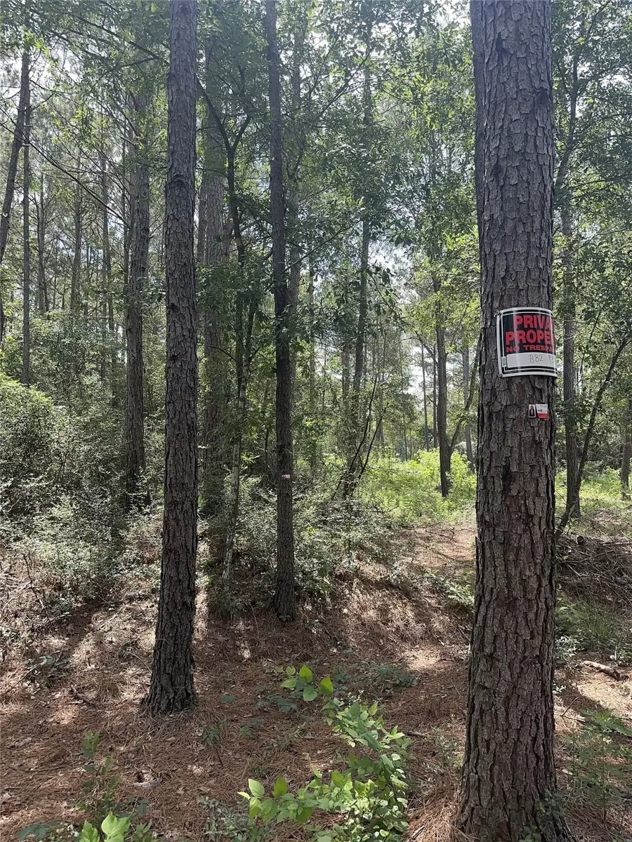 13 Scarlet Oak Dr, Plantersville, TX 77363 - Image #3