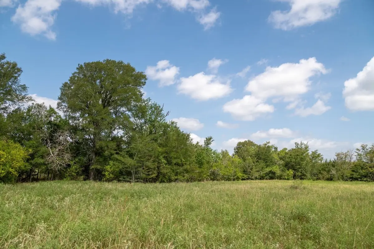 0 Fm 2620, Bedias, TX 77831 - Image #1