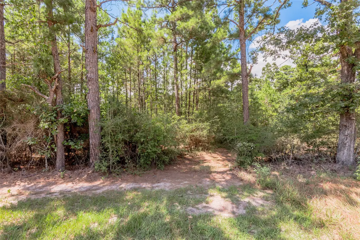 Na Fm 355, Trinity, TX 75862 - #1