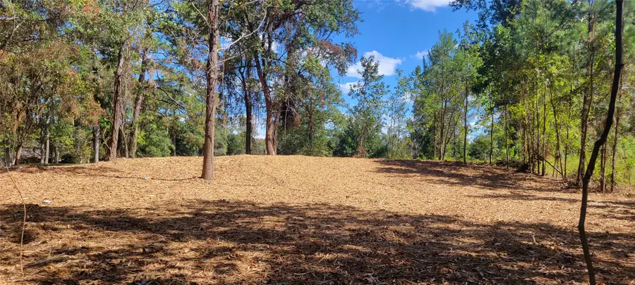 735 Stonewall Jackson Drive, Conroe, TX 77302 - Image #2