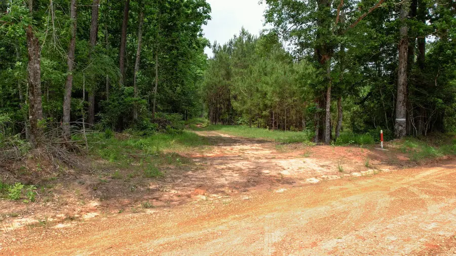 TBD Ben Nelson Road, Livingston, TX 77351 - #2