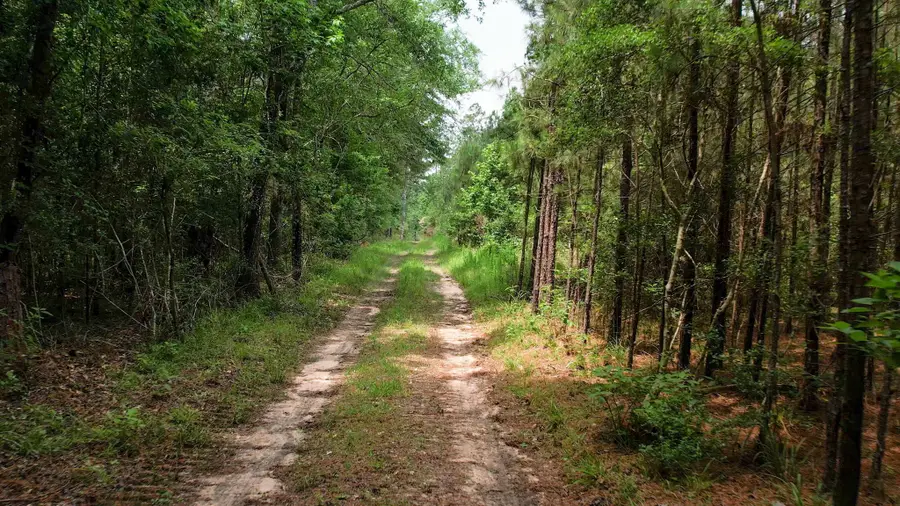 TBD Ben Nelson Road, Livingston, TX 77351 - #3