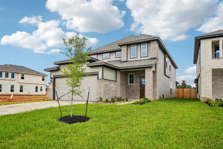 25538 Blossom Court, Montgomery, TX 77316 - #2
