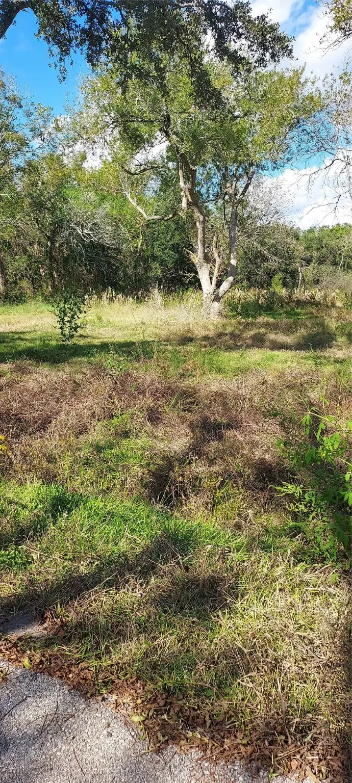 8828 Calagna Road, Hitchcock, TX 77563 - Image #1