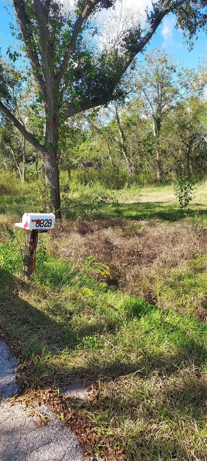 8828 Calagna Road, Hitchcock, TX 77563 - Image #3
