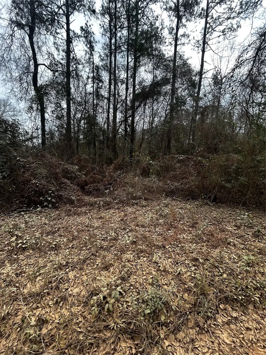 0 County Line Road, Shepherd, TX 77371 - #2