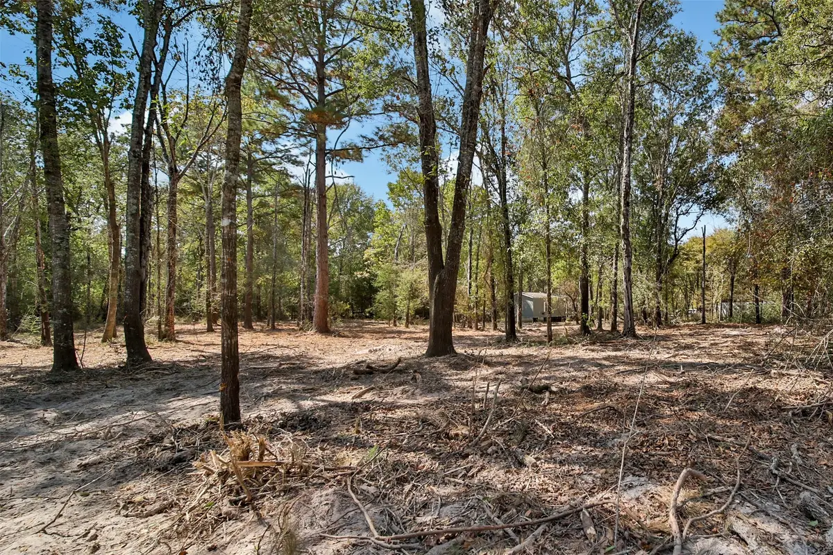 206 B Morris Lane, Huntsville, TX 77320 - Image #1