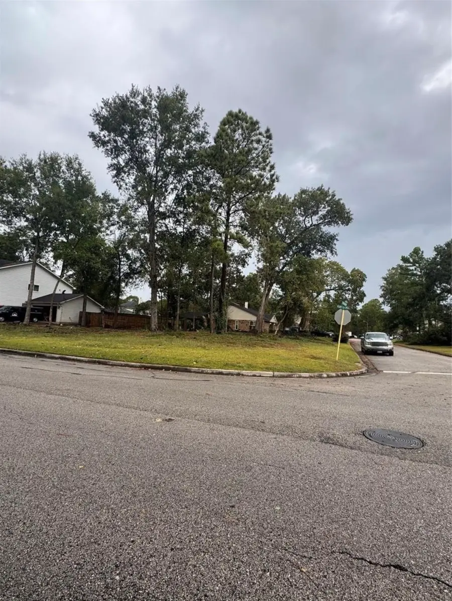 17311 Port O Call Street, Crosby, TX 77532 - #2