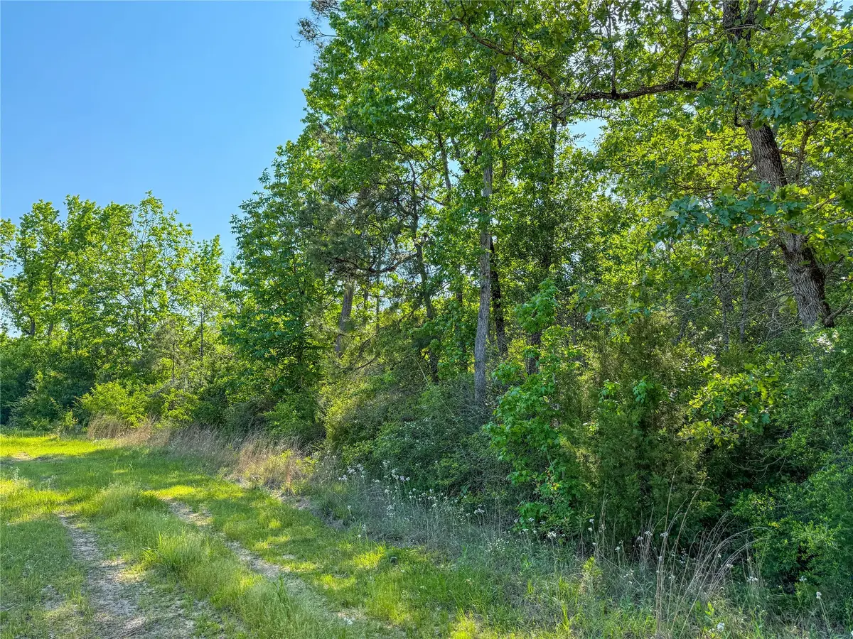 TBD Hwy 69, Woodville, TX 75979 - Image #1