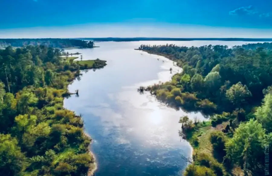 553 Private Road 8356, Bronson, TX 75930 - Image #2