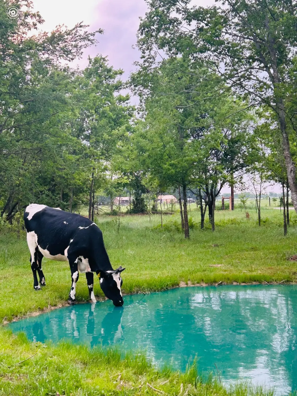 6AC County Road 930, Mexia, TX 76667 - Image #1