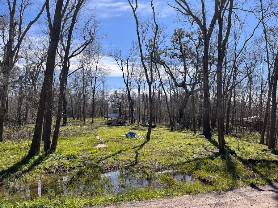 N/A Penguin Ln Lane, Holiday Lakes, TX 77515 - #2