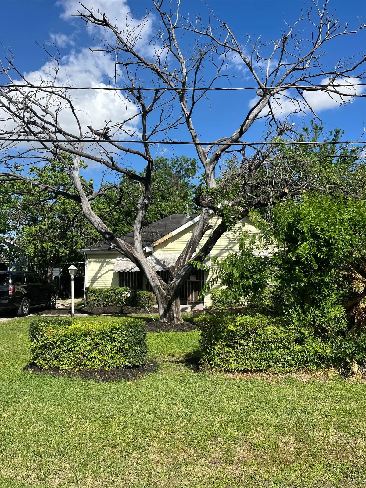 4110 Kress Street, Houston, TX 77026 - #1