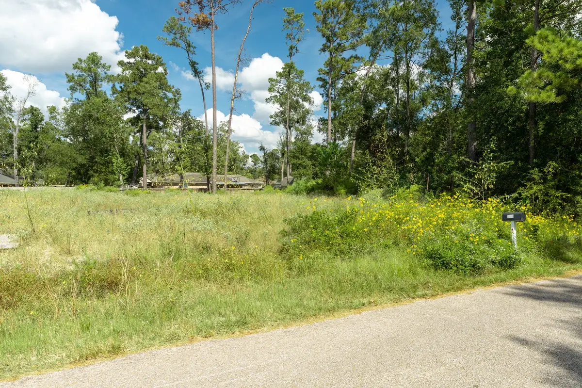 1428 Flamingo St, Conroe, TX 77385 - Image #1