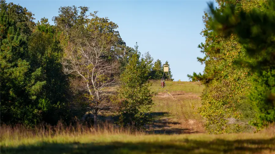 15383 County Road 236, Oakwood, TX 75855 - Image #2