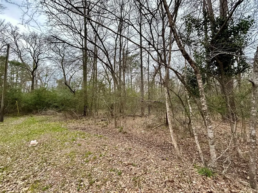 TBD Bluebonnet Drive, Onalaska, TX 77360 - Image #2