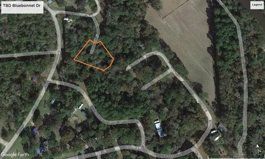 TBD Bluebonnet Drive, Onalaska, TX 77360 - Image #3