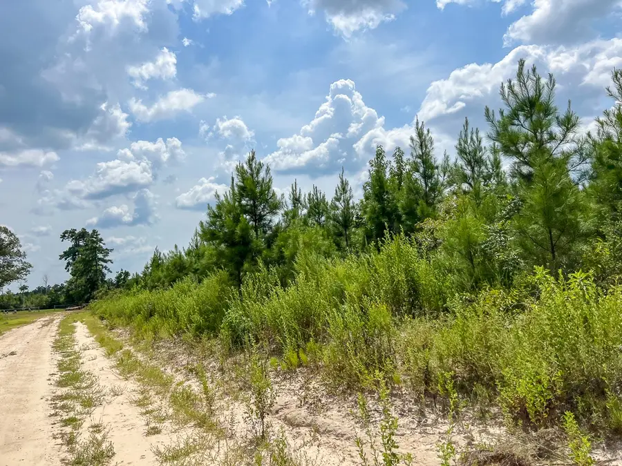 1 Rec Road 255, Browndell, TX 75931 - Image #2