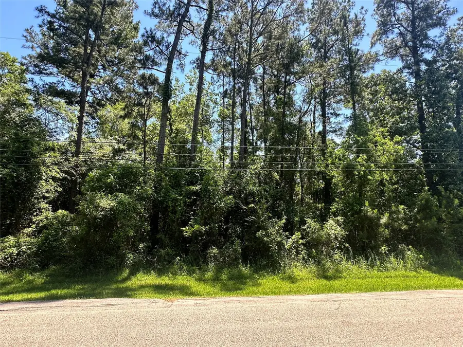 1815 Black Bear Drive, Northeast Harris, TX 77532 - Image #2