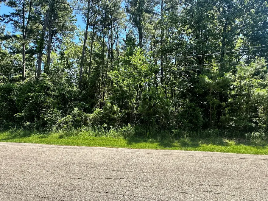 1815 Black Bear Drive, Northeast Harris, TX 77532 - Image #3