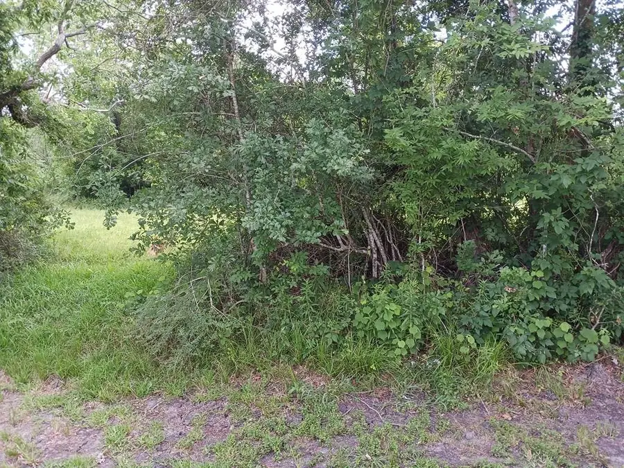 00 Cahill, Angleton, TX 77515 - #2