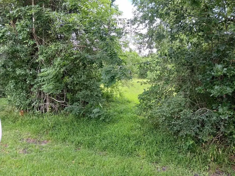 00 Cahill, Angleton, TX 77515 - #3