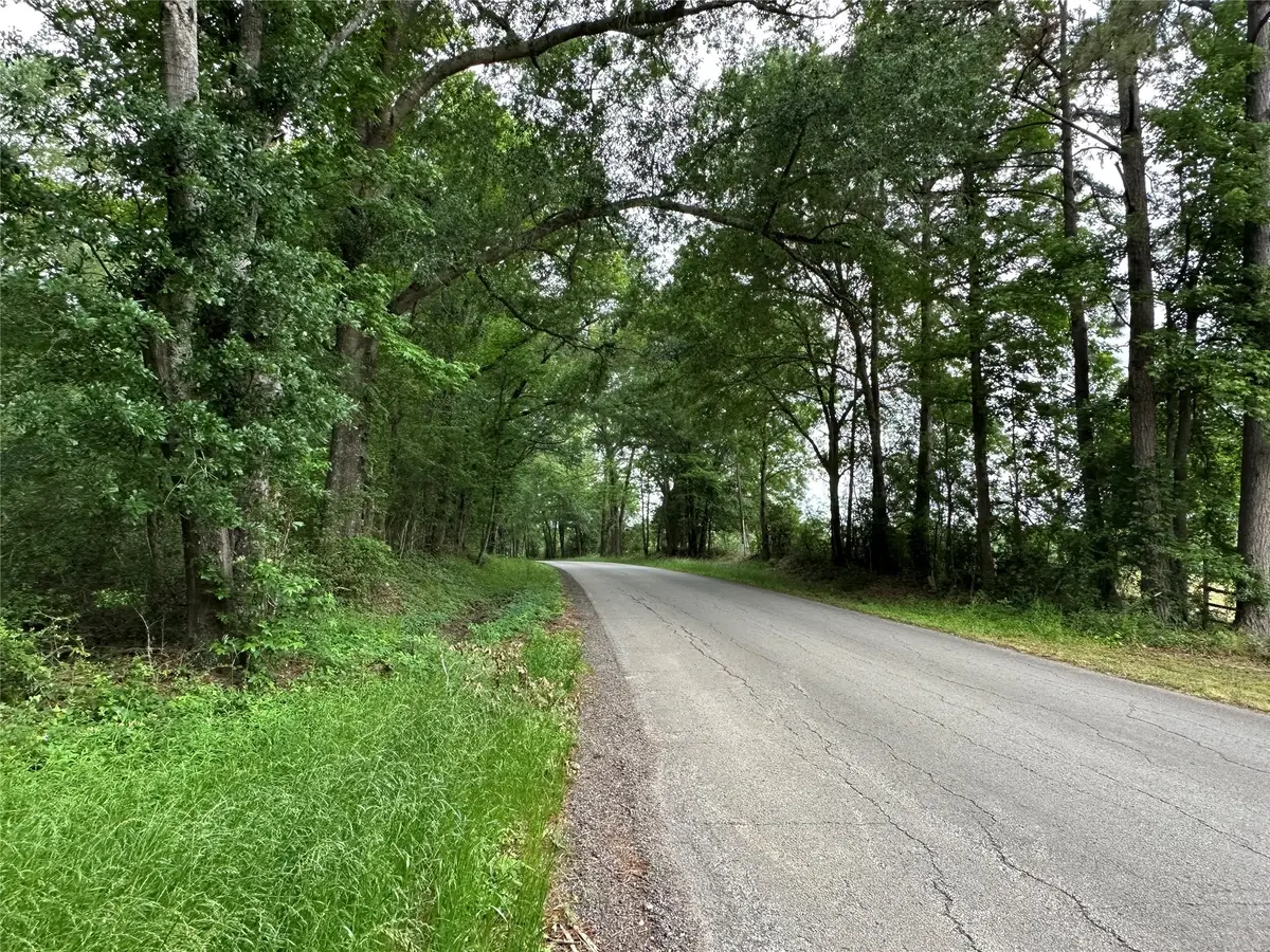 0 Bailey Grove Road, Montgomery, TX 77356 - #1