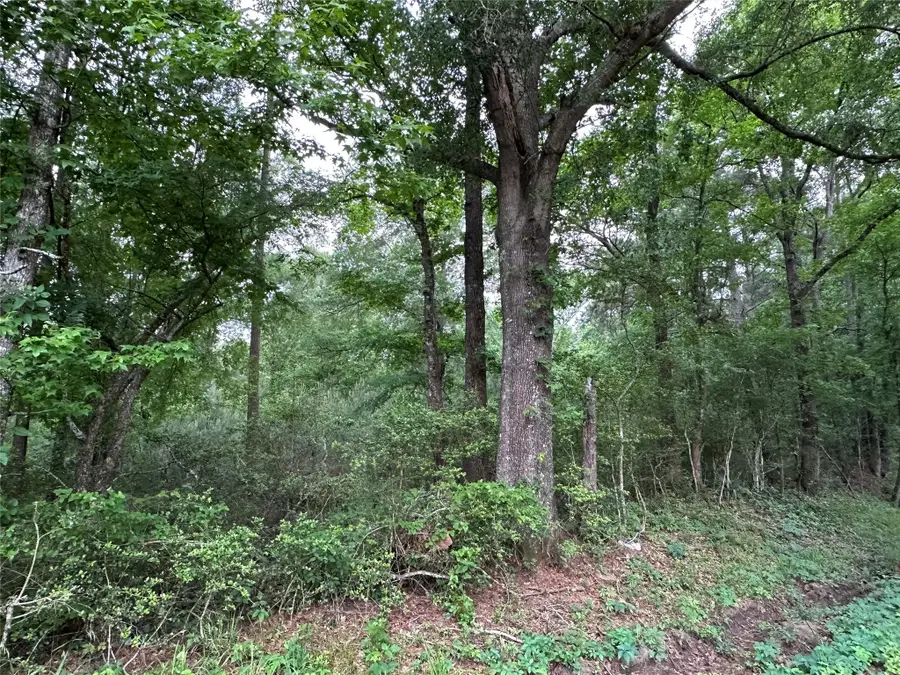 0 Bailey Grove Road, Montgomery, TX 77356 - #2