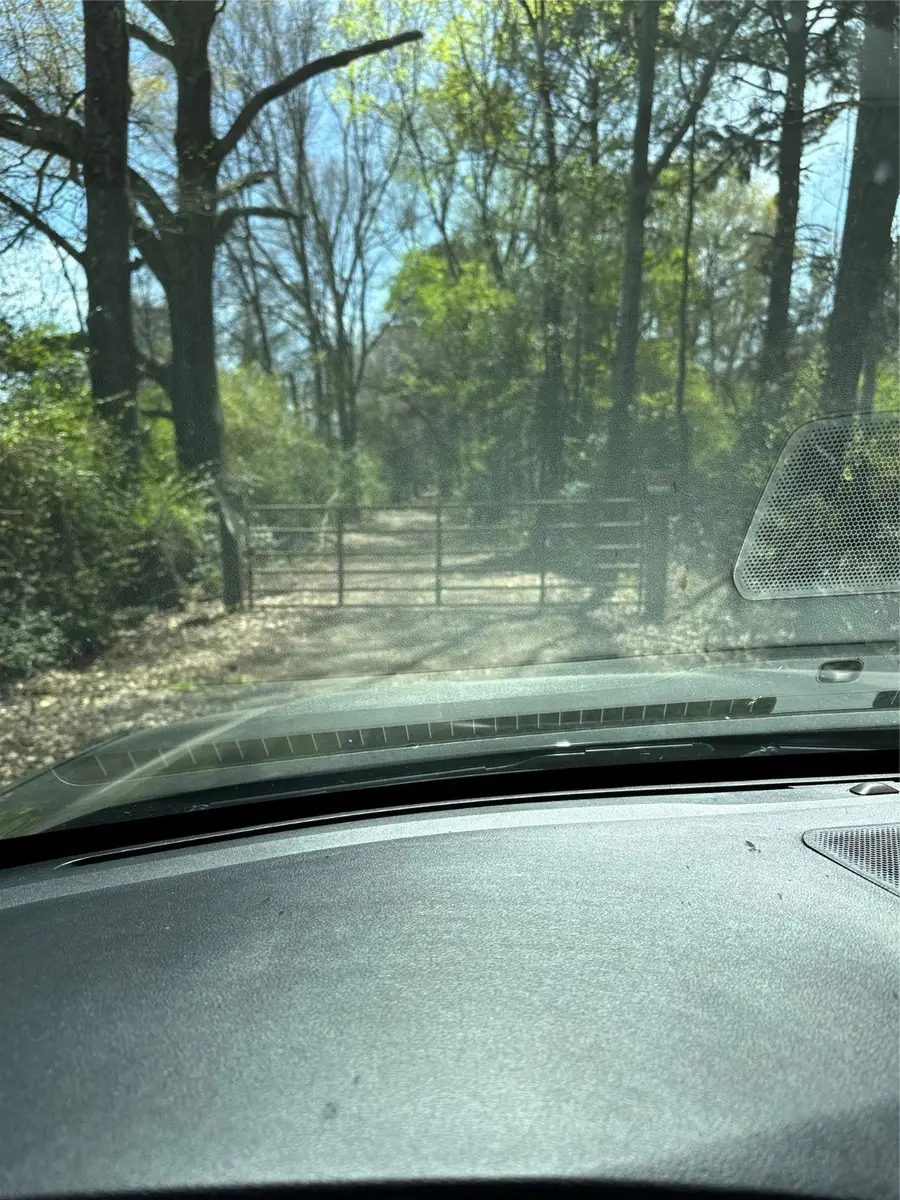 0 Bailey Grove Road, Montgomery, TX 77356 - #3