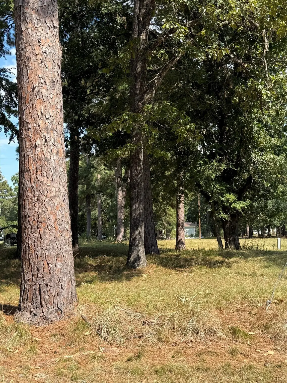 0 Peach Point Lane Lane, Trinity, TX 75862 - Image #1