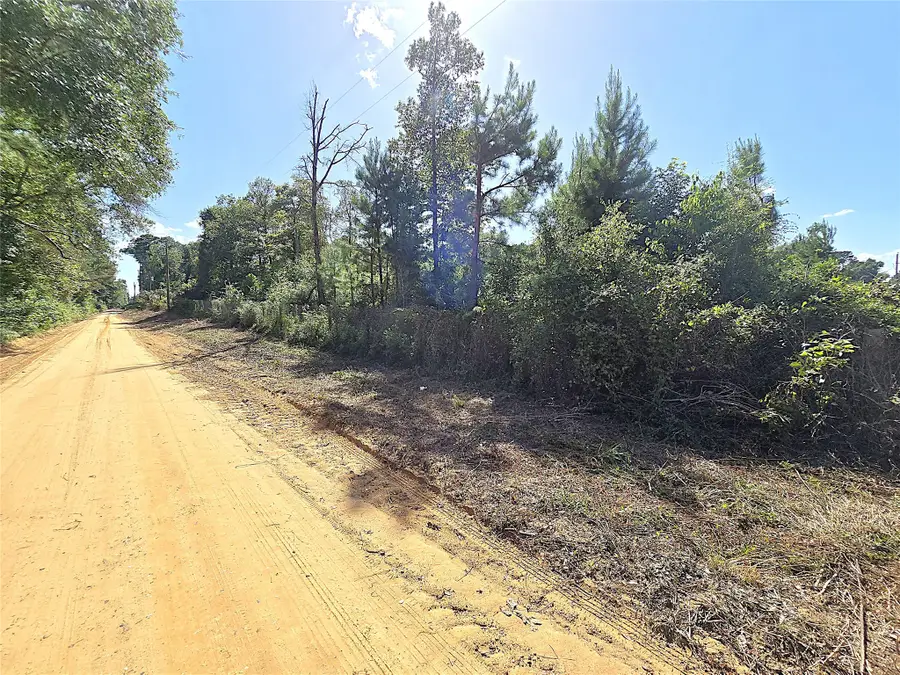 TBD Margie Drive, Livingston, TX 77351 - #3