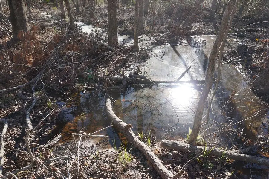 9001 Private Road 2851, Buffalo, TX 75831 - Image #3