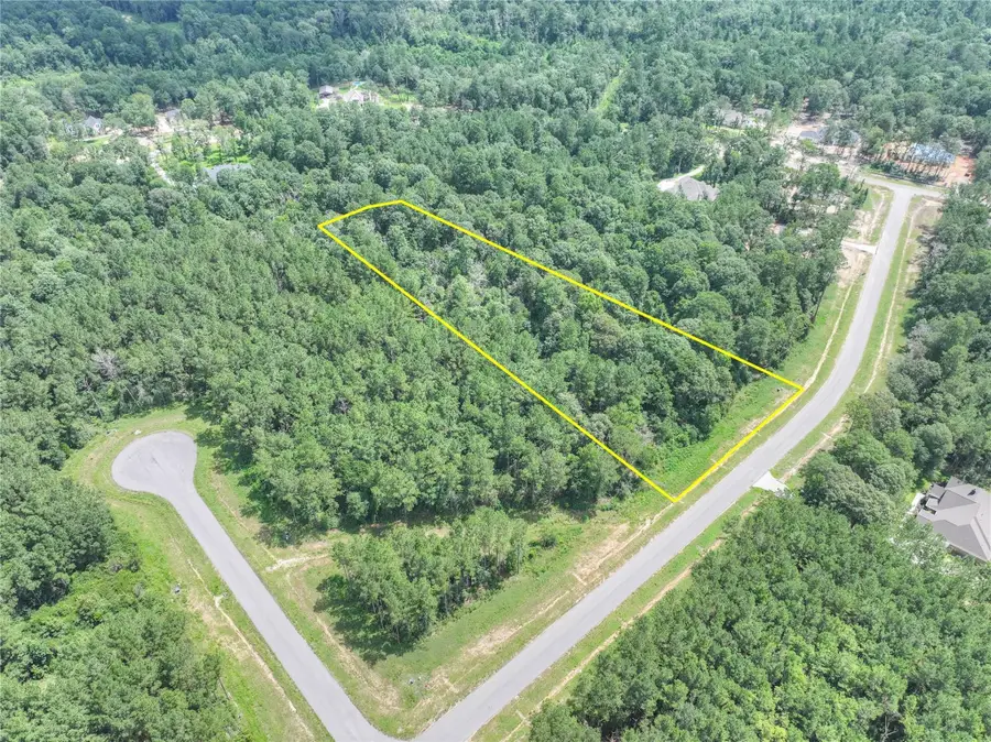 15976 Forest Mill Road, Willis, TX 77378 - #3