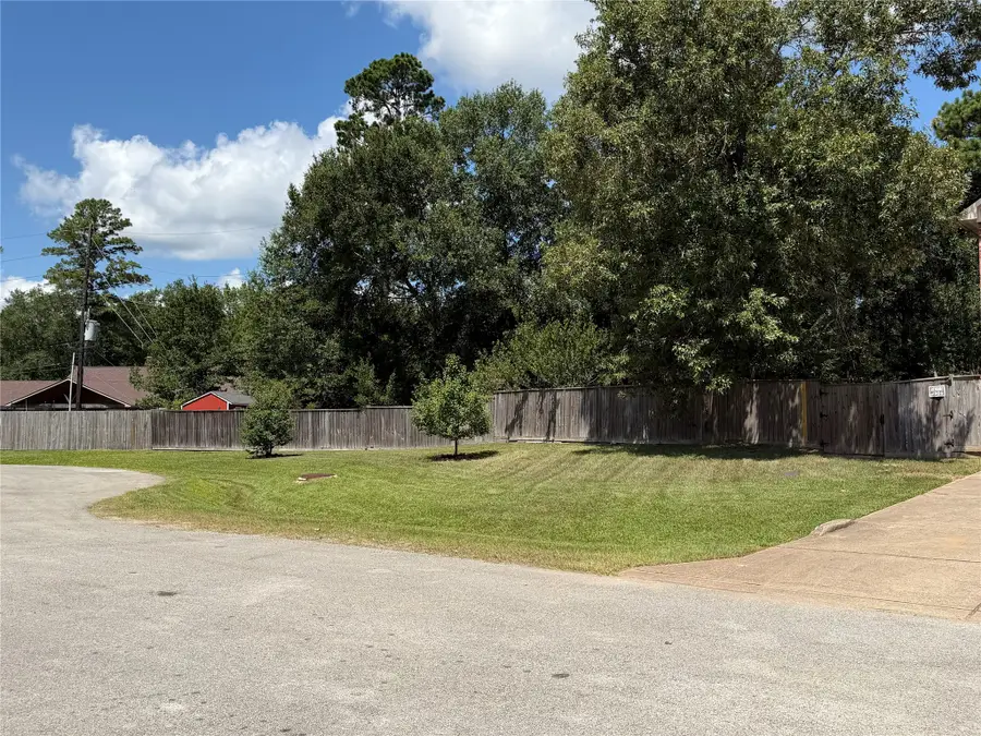 29122 Hidden Lake Court, Magnolia, TX 77354 - #2