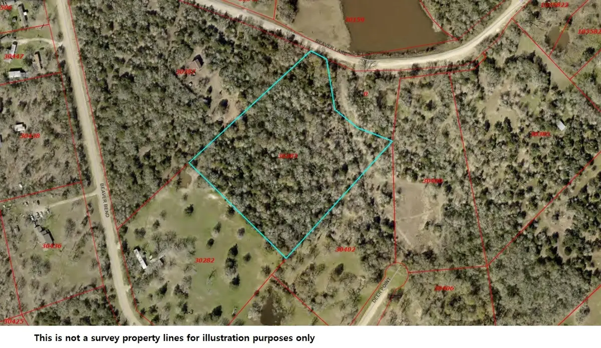 1014 Beaver Lake Drive, Caldwell, TX 77836 - Image #1