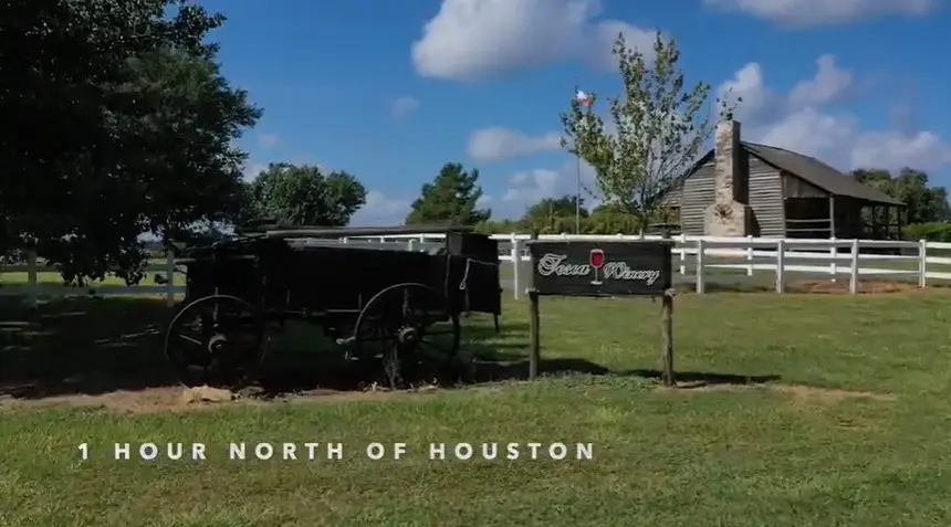 231 Hostetter Rd, New Waverly, TX 77358 - #3