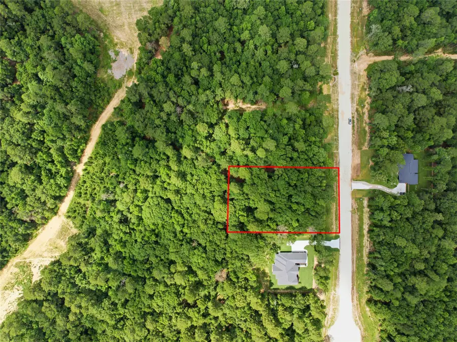 222 Hollow Hill Drive, New Waverly, TX 77340 - #3