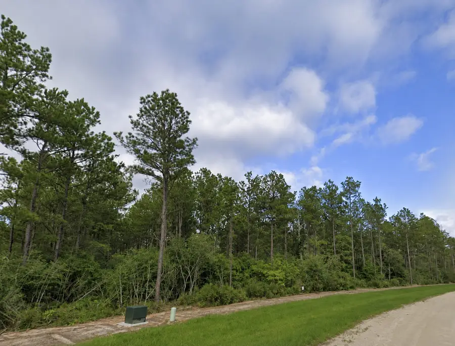 15729 Forest Grove Drive, Willis, TX 77378 - #2