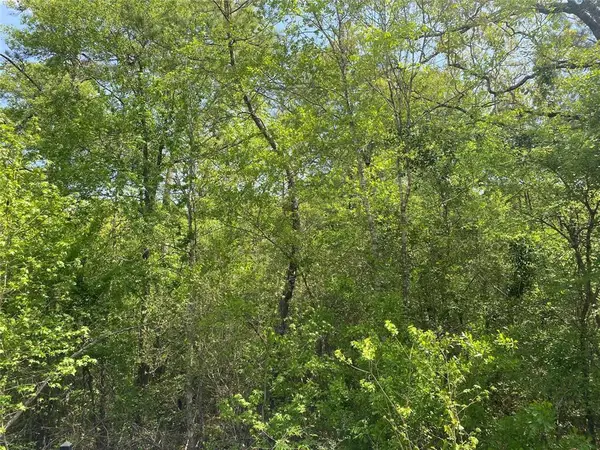 0 Hollybrook Drive, Plantersville, TX 77363