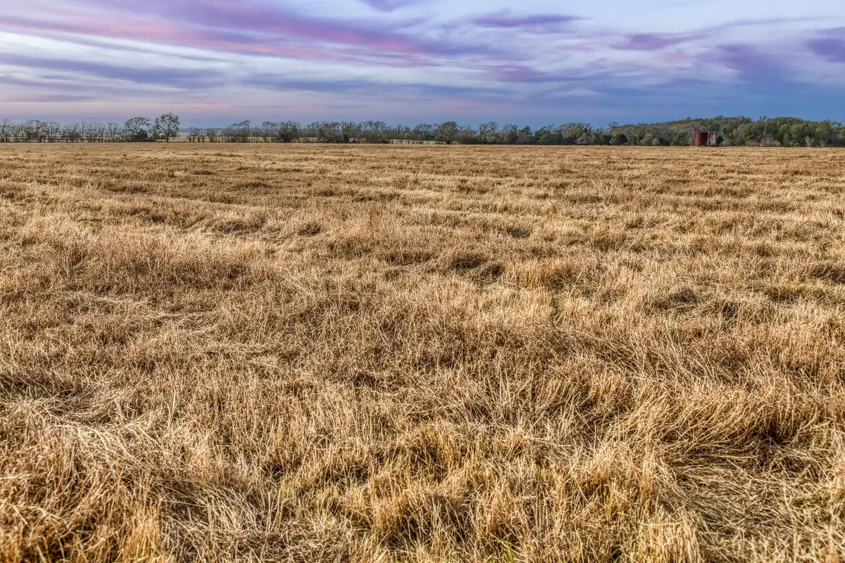 TBD County Road 318, Caldwell, TX 77836 - #1