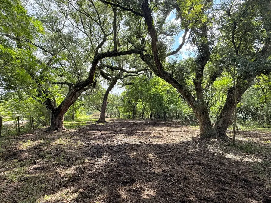 6833 Bryan Road, Jones Creek, TX 77541 - #3