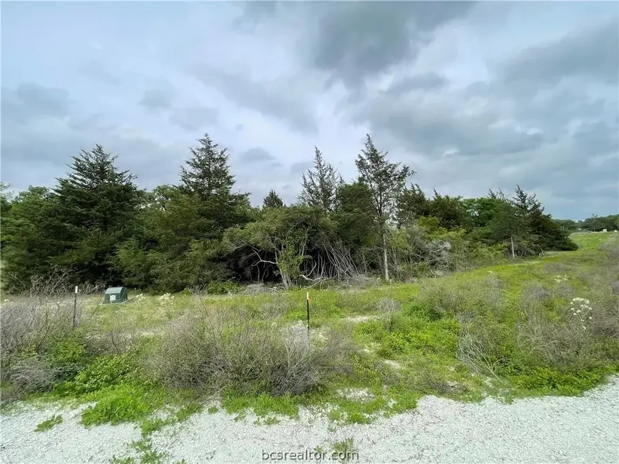 4430 Hampshire Lane, Franklin, TX 77856 - Image #3