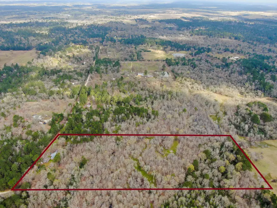 10081 Rocky Ridge Lane, Madisonville, TX 77864 - #3