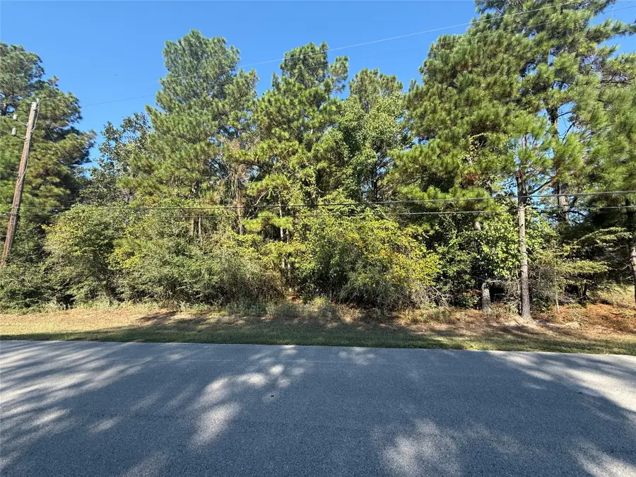 0 Lago Drive, Magnolia, TX 77354 - #3