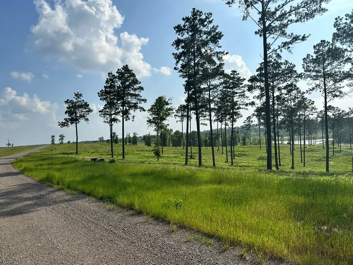 0 Western Road, Livingston, TX 77351 - #1