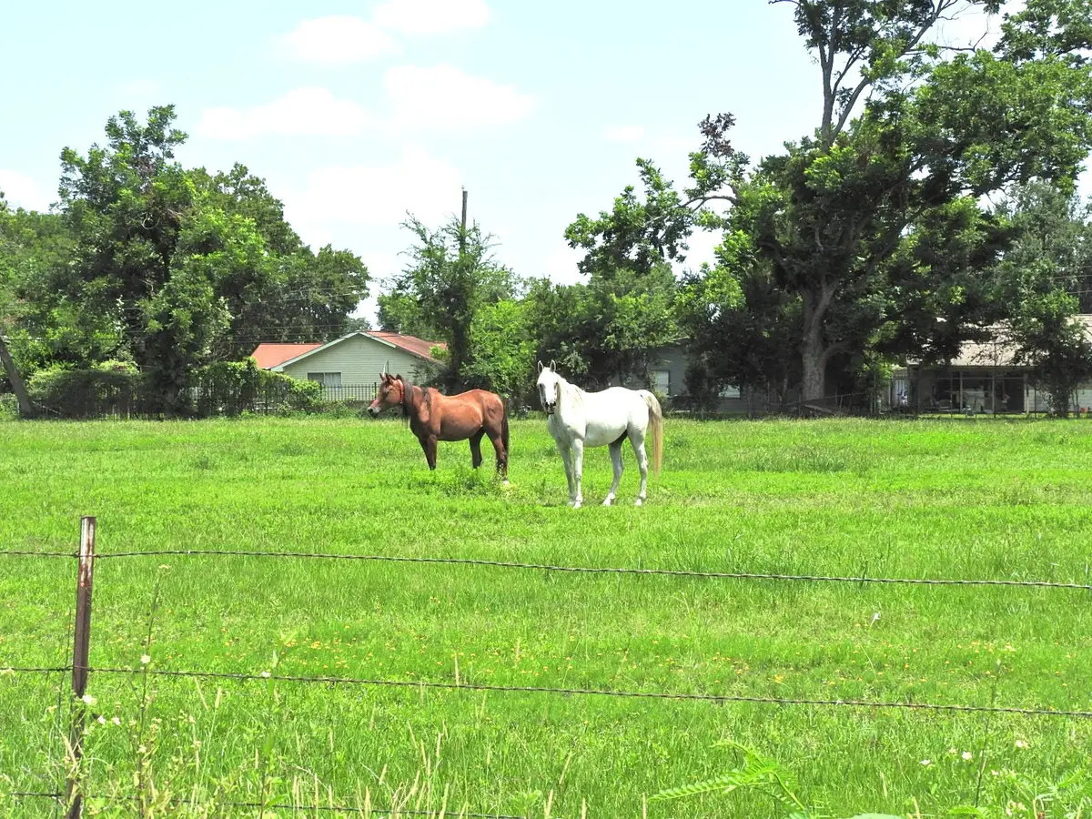 6100 Stuebner Airline Road, Houston, TX 77091 - Image #1