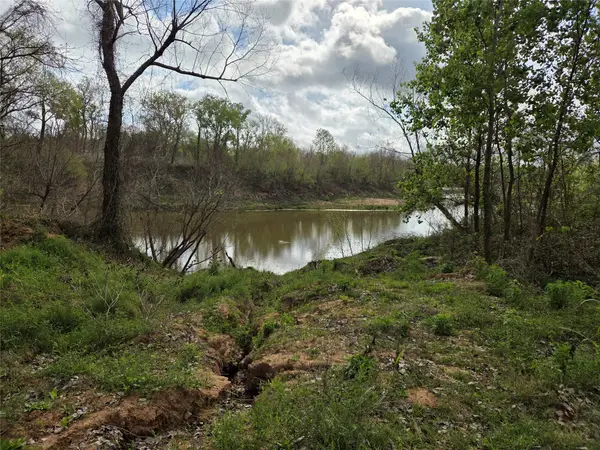 0 Kings Oak Drive, Damon, TX 77430