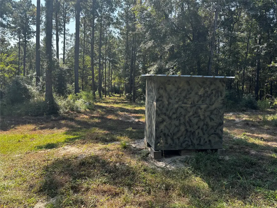 Tract 1 Trinity Lady Park Road W, Trinity, TX 75862 - Image #3